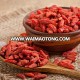 the ningxia goji berry seedings goji berry price