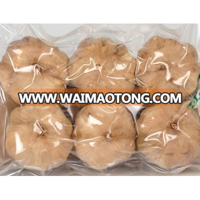 China origin nutritious health benefits black garlic hot for sale