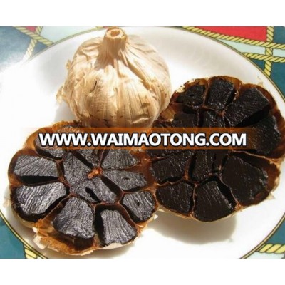 Healthy Aged Black garlic