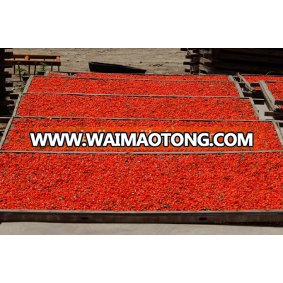 Factory supply 100% nature dried goji berry