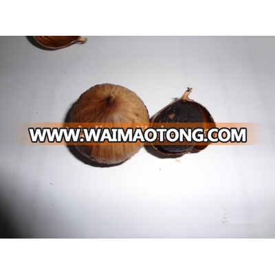 Best Price Black Garlic P.E/Wholesale Black Garlic