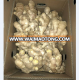 wholesale market price dried split ginger