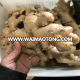 air dry ginger/top quality air dried gingers