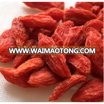 high quality organic goji berry bulk price