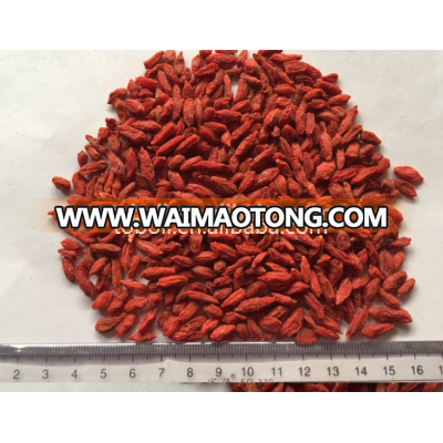 Chinese high quality dried Wolfberry/free sample Goji berry