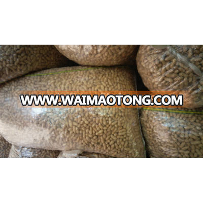 High quality Chinese groundnut bulk price