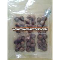 black garlic sale buy black garlic