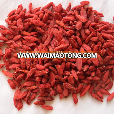 Ningxia dried goji berry supplier wolfberry price