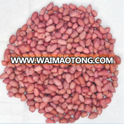 2016 new crop red skin peanut seeds whosale