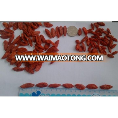 Dried Goji Berry Chinese Wolfberry