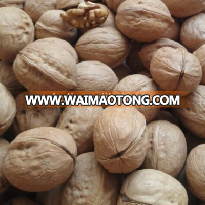 Natural Thin skin organic Walnuts in Shell