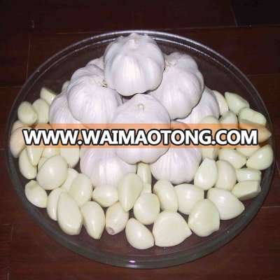 peeled garlic puree