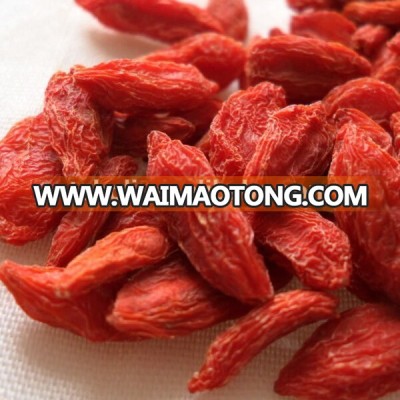 goji berry from Ningxia China