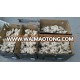 Fresh ginger HACCP/Dried ginger/ Ginger exporter