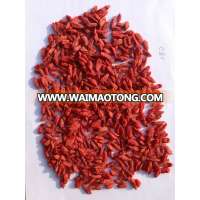 Dried Goji berry