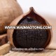 Antioxidant Solo Black Garlic Health Food