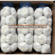 2018 Hot Sale Fresh organic white garlic with super quality