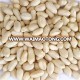 China 2018 blanched peanut/white peanut/peeled peanut