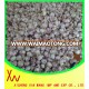 2015 new galic good quality china garlic