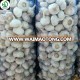 fresh white garlic good price china supplier garlic inquiry