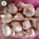 garlic pure good price china supplier garlic garlic to new zealand